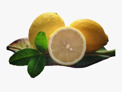 lemon-01 lemon-01